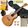 KALAKA-15CUKULELE入門セットカラコンサートサイズ初心者向けウクレレセット