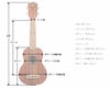 KALAKA-CGGLOSSMAHOGANYUKULELEカラコンサートウクレレマホガニーソフトケース付き