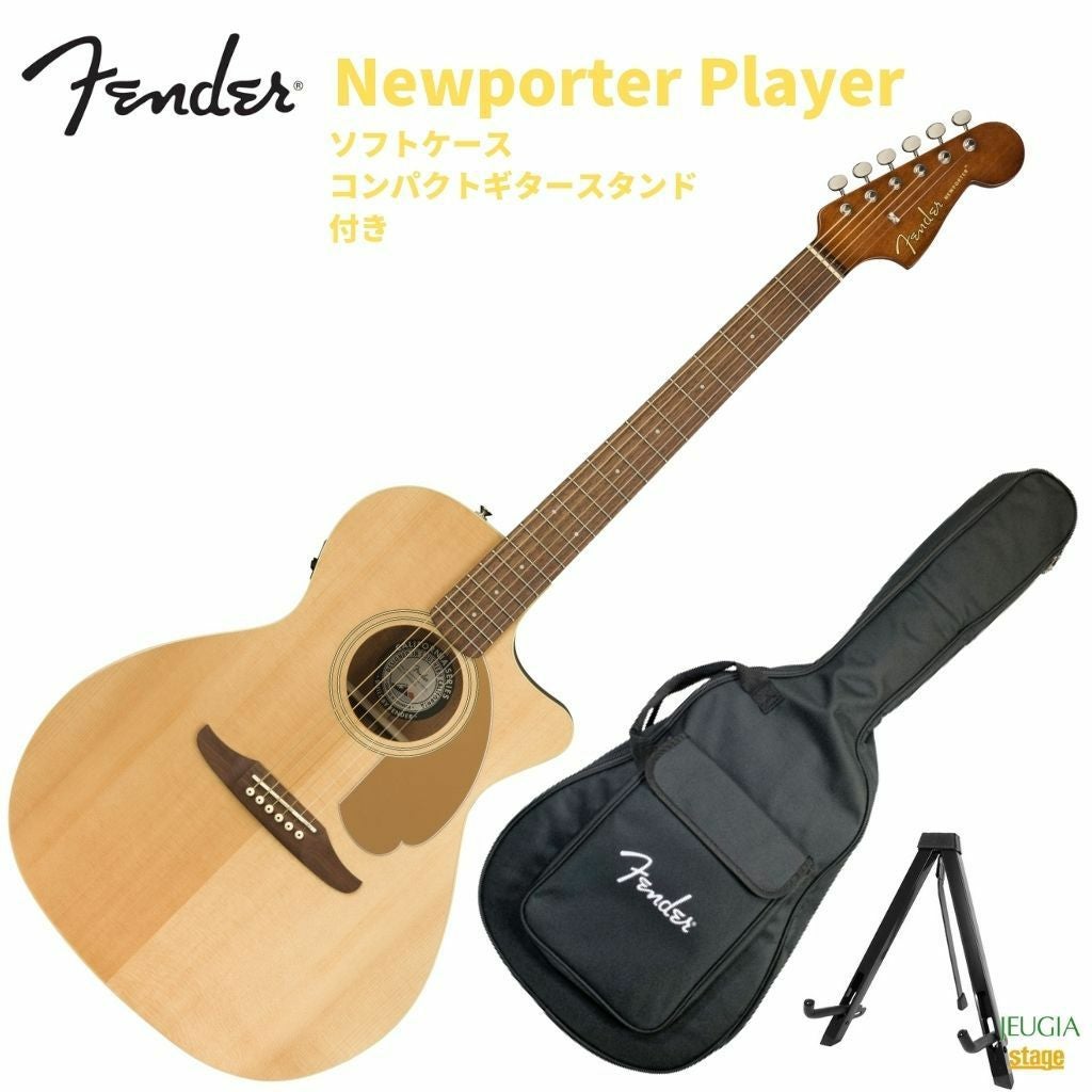 Taylor 317e V-Classテイラー アコースティックギター フォークギター