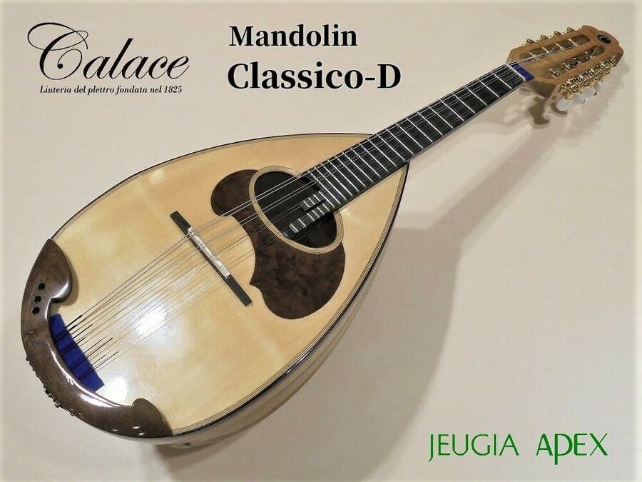 Calace No.24カラーチェ マンドリン【APEX-Rakuten Stringed