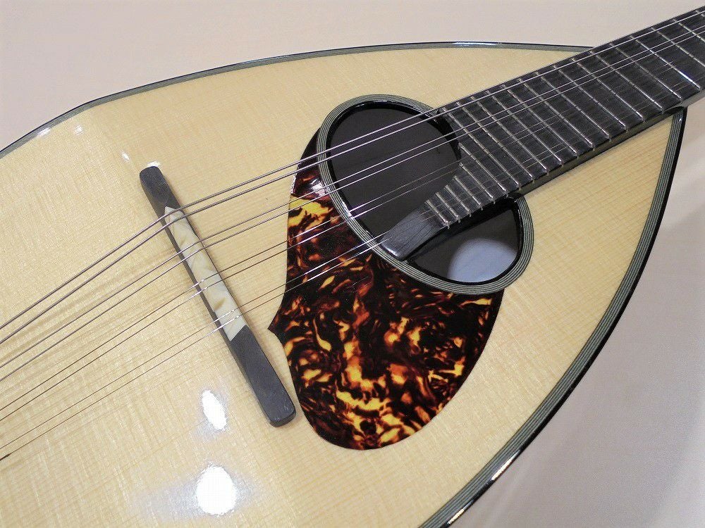 EASTMANmodel-Milanoイーストマンマンドリン【APEX-RakutenStringedinstrument】