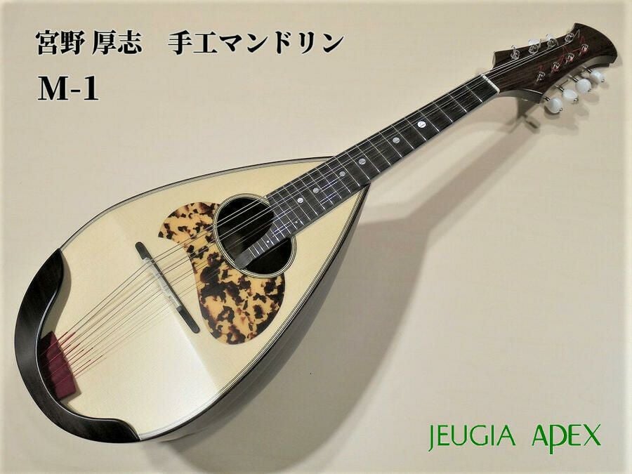 Calace No.24カラーチェ マンドリン【APEX-Rakuten Stringed