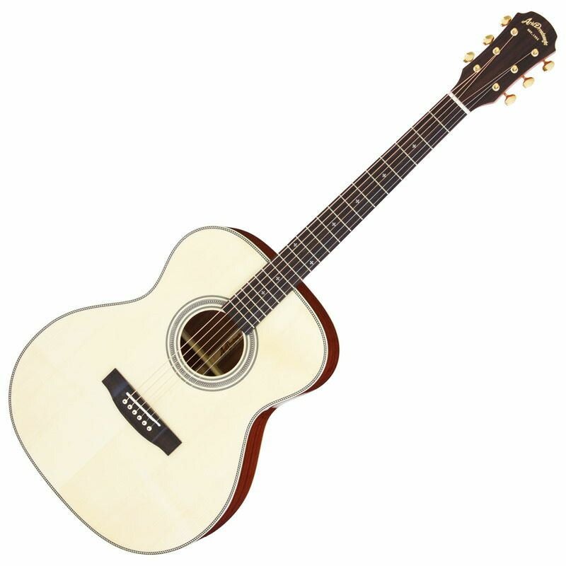 ギグバッグ・クリップチューナー付き】ARIA AF-501 NAT アリア