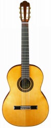 ARIAA-50SBasicclassicguitarアリアクラシックギタートップスプルース単板ベーシック・シリーズ