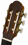 ARIAA-50SBasicclassicguitarアリアクラシックギタートップスプルース単板ベーシック・シリーズ