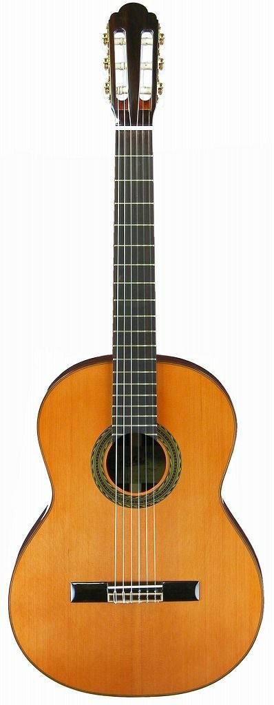 ARIAA-100Cアリアクラシックギターシダー杉ナチュラルガットギター
