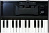 【送料無料】【在庫あり】Roland(ローランド)BoutiqueK-25M【RECOMMEND:三条本店STAGE】