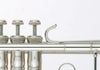 YAMAHAWindinstrumentSupportCushionヤマハ管楽器用サポートクッションSPC【APEX-Rakutenaccessories】