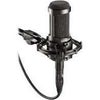 audio-technicaAT2035オーディオテクニカバックエレトットコンデンサーマイクロホン