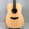TaylorAcademy10eテイラーアカデミーエレアコサペリナチュラル