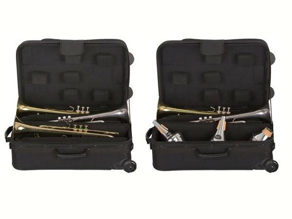 CCShinyCaseIICC2-FL-WSC.C.シャイニーケースIIフルート