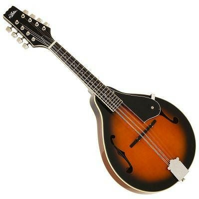 ARIA AM-20E Electric Mandolin【ピックアップ付】【ハードケース付き