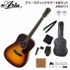 【アクセサリーセット】ARIA101MTCSSETアリアアコースティックギターチェリーサンバースト初心者セット