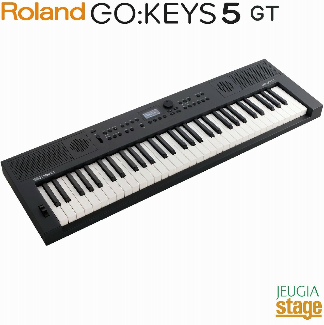 この商品はお取り寄せ品になります】Roland GO:KEYS 5 GT(グラファイト