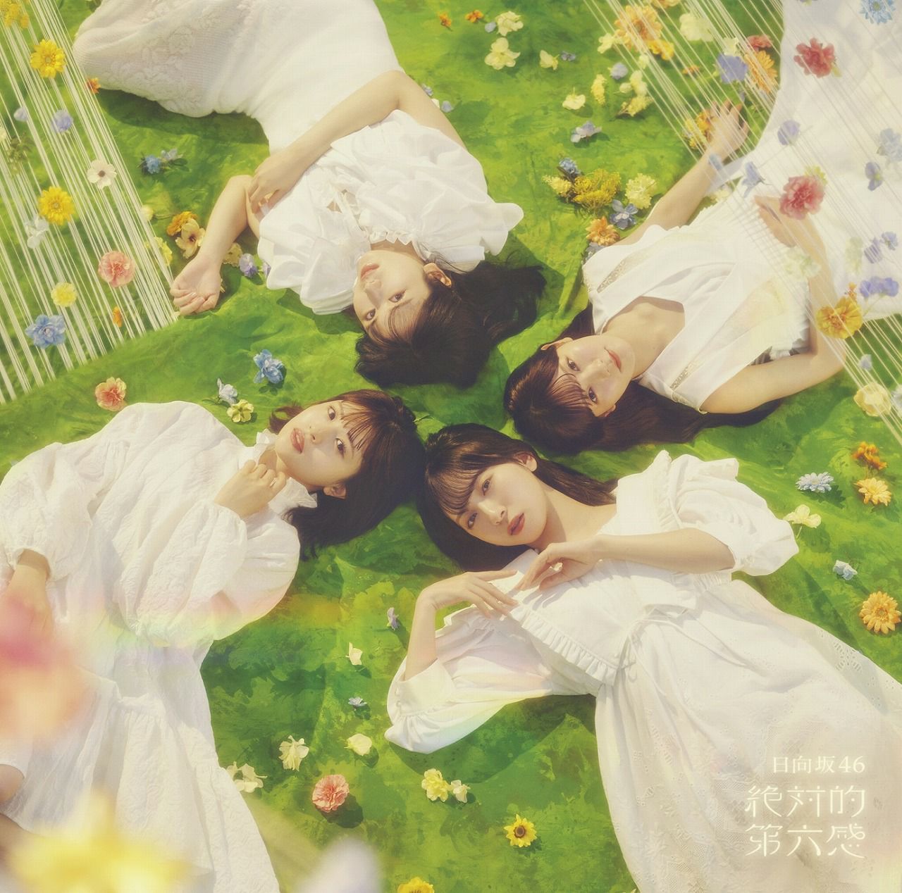日向坂46『絶対的第六感』初回仕様限定盤 TYPE-D（CD+BD）※日向坂46