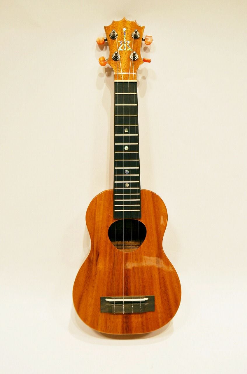 Guild F-240Eギルド アコースティックギター フォークギター アコギ