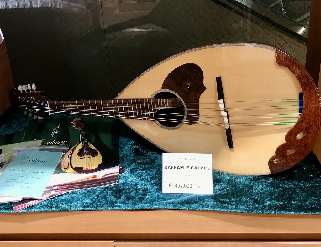 Calace No.24カラーチェ マンドリン【APEX-Rakuten Stringed