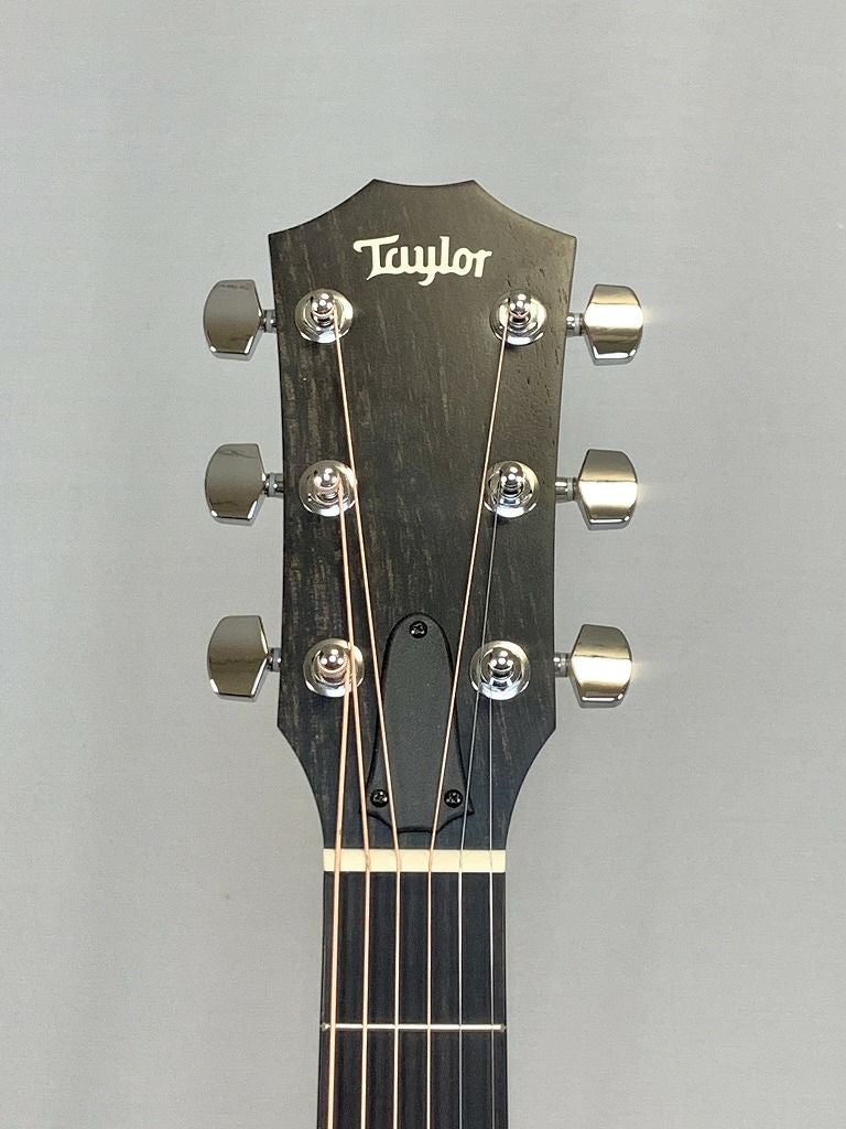 Taylor 210ce Rosewood
