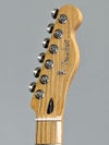 Fender Player II Telecaster®, Maple Fingerboard, Blackヘッド表