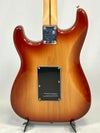 FenderPlayerPlusStratocaster®,PauFerroFingerboard,SiennaSunburstボディ裏