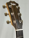 Taylor 214ce African Ziricote Plus Special Edition / Spruceヘッド表