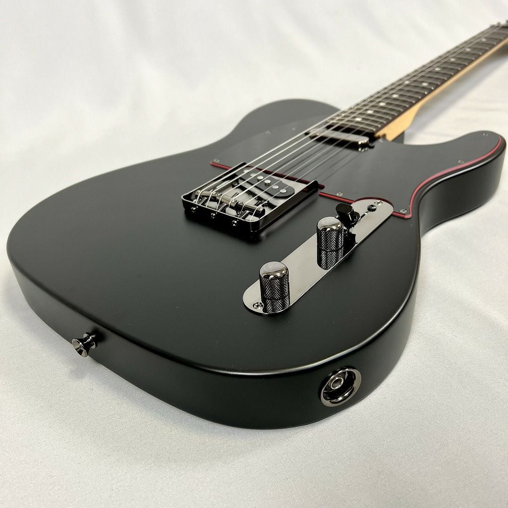 SCHECTER PA-LS/TK シェクター テレキャスター 凛として時雨 TK
