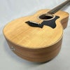 Taylor GS Mini