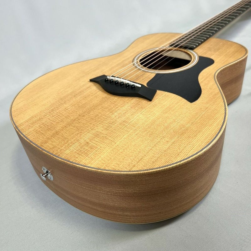 Taylor GS Mini