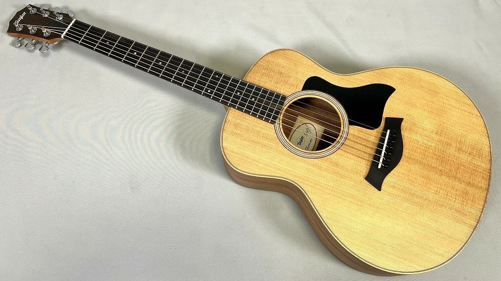 Taylor GS Mini