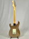 Fender American Professional Classic Stratocaster®, Maple Fingerboard, Faded Firemist Gold裏