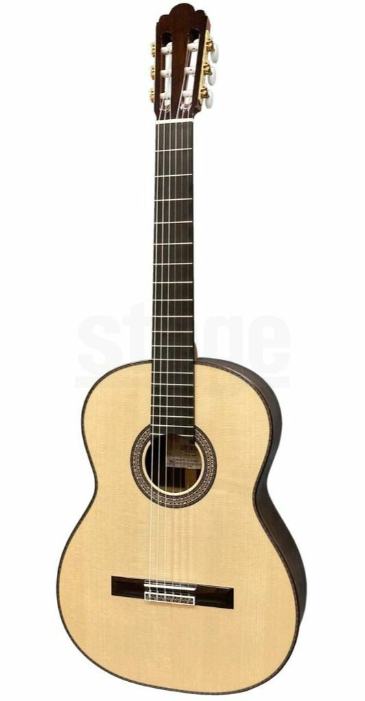 ASTURIAS CUSTOM/S 650mm表