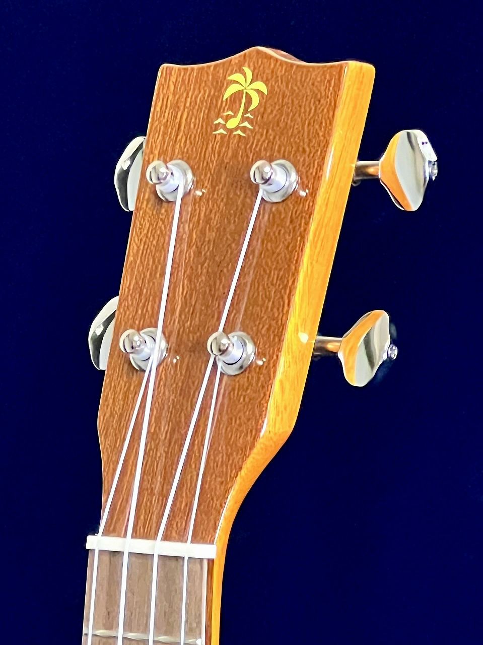 ILIKAI IL-SOP-4MGGヘッド表