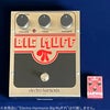 Olinthus EARWIGと本家Big Muff Piとの比較