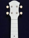 aNueNueLYRAFineTuneFiberGlassLFG-CG(CoolGray)サウンドホール