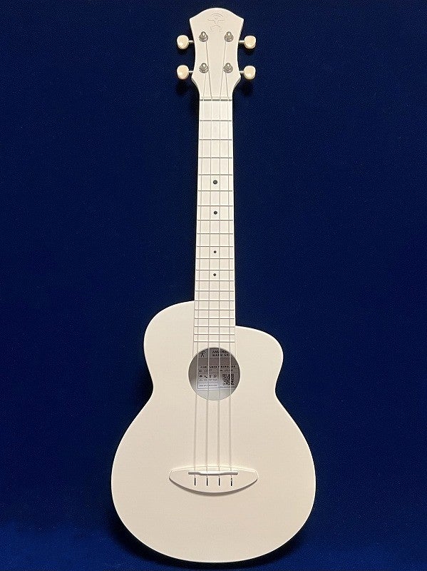 aNueNueLYRAFineTuneFiberGlassLFG-WG(WarmGray)表