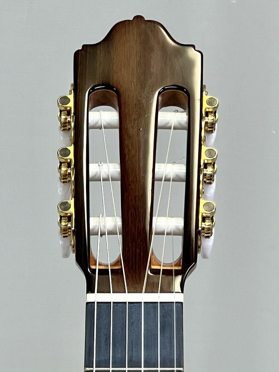 EsteveALEGRIACdrヘッド表