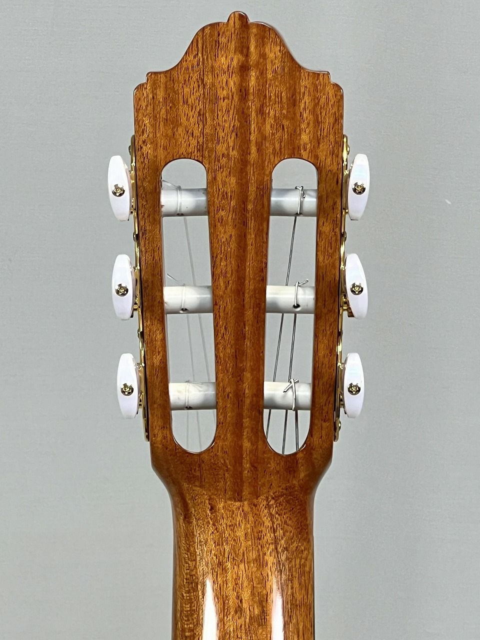 EsteveALEGRIACdrヘッド裏