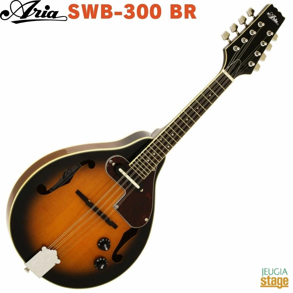 ARIA AM-20E Electric Mandolin【ピックアップ付】【ハードケース付き