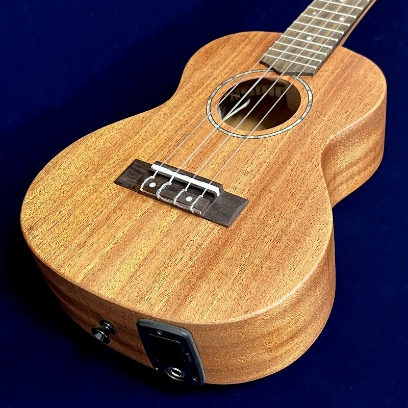 KALA KA-JH-AMHG-C-E_W/BAGJames Hill Signature Mahogany Collection
