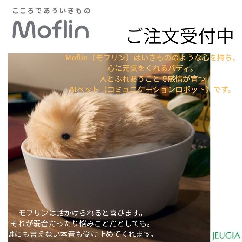CASIO PE-M10GD Moflinカシオ モフリン ゴールド | JEUGIA