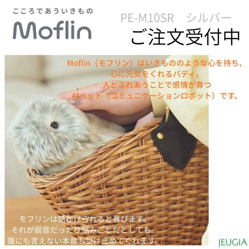 CASIO PE-M10SR Moflinカシオ モフリン シルバー | JEUGIA