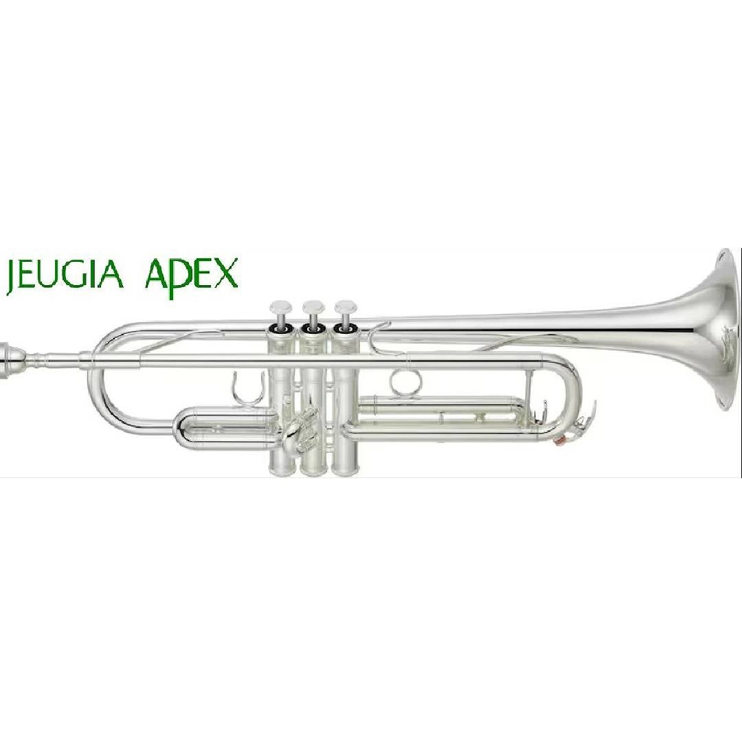 お手入れセットプレゼント】YAMAHA YTR4335GSII ヤマハ トランペット
